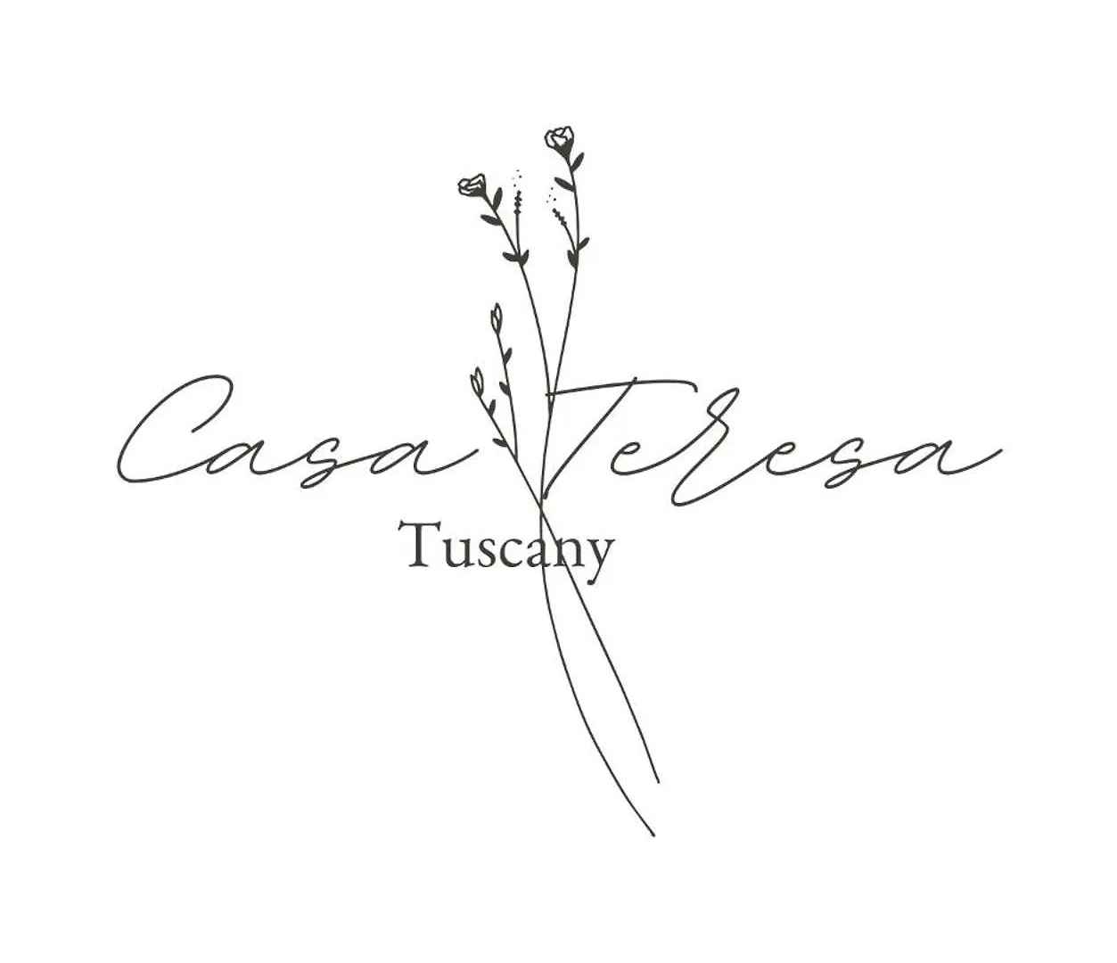 Casa Teresa Tuscany San Gimignano Zambra